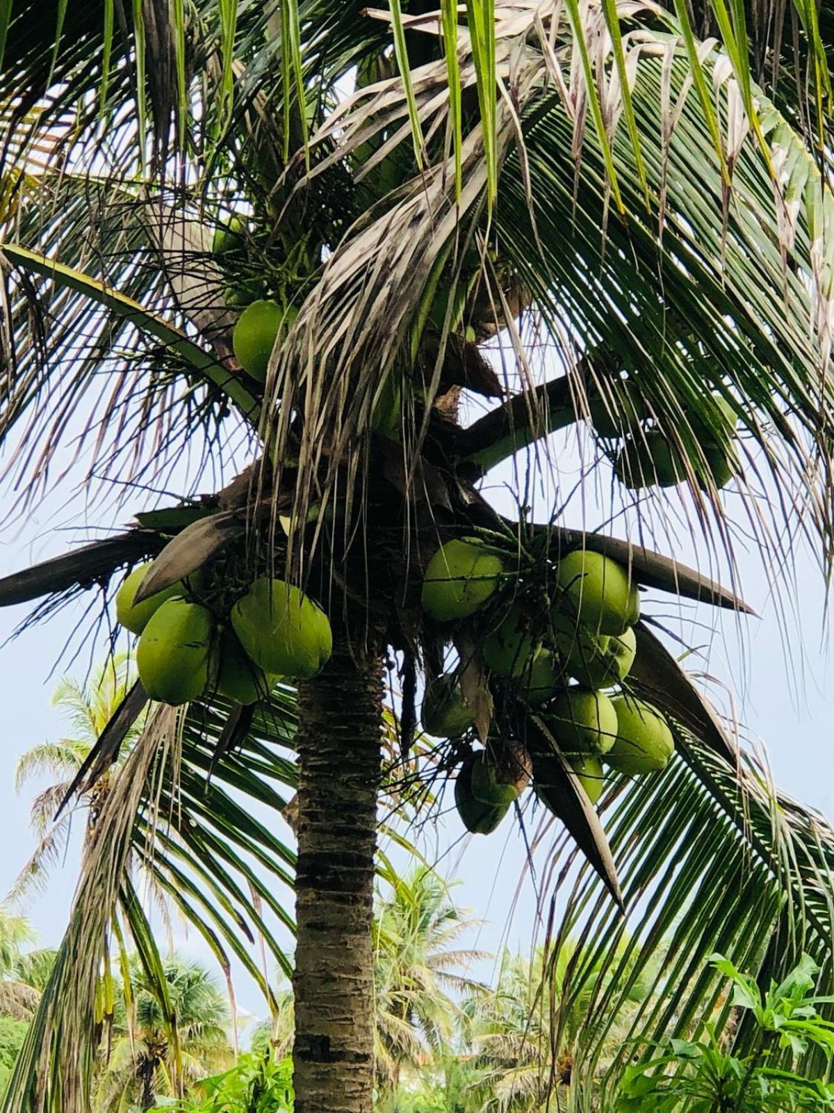 Villa Ava Kite - Guajiru Trairi Esterno foto