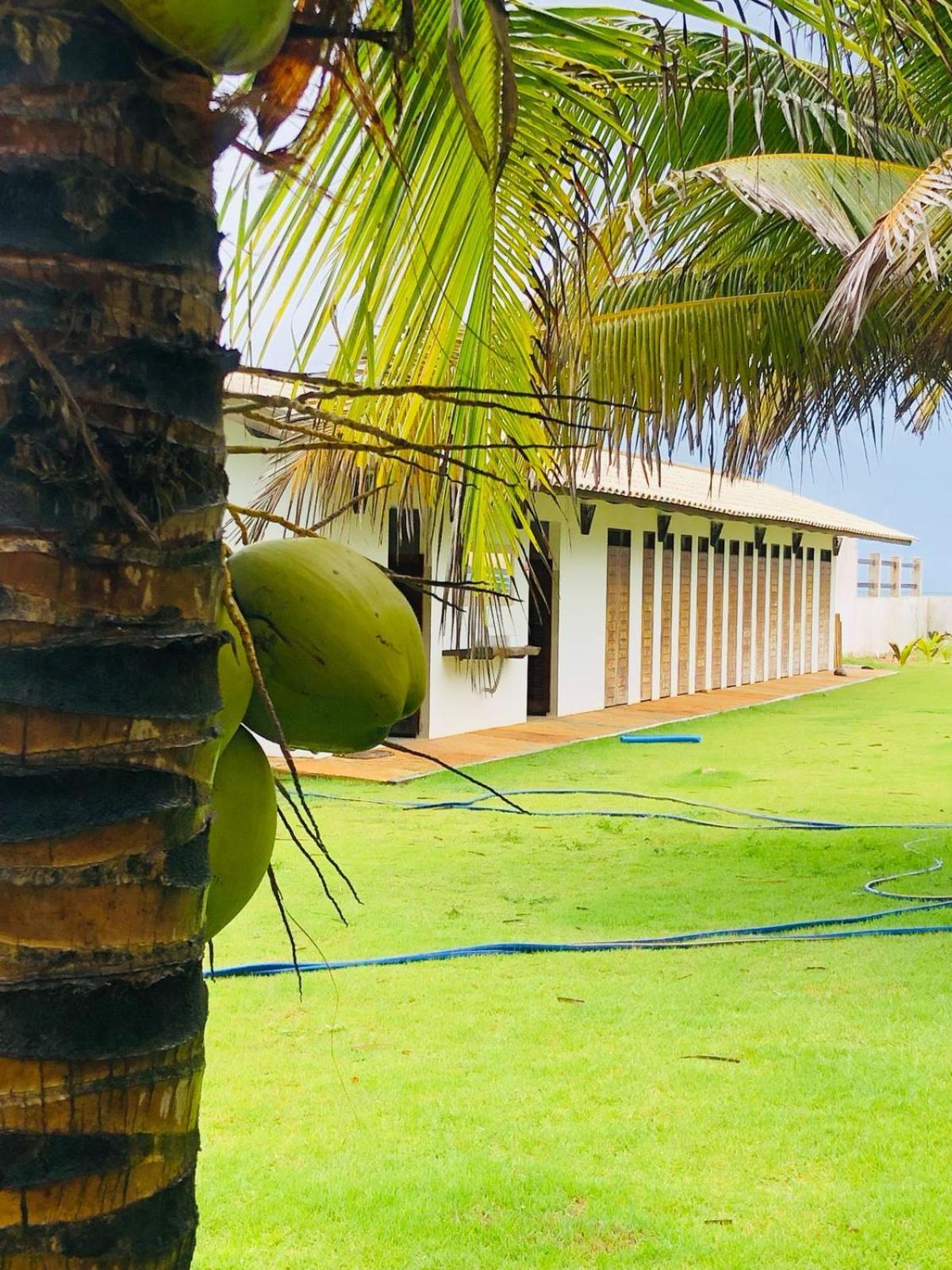 Villa Ava Kite - Guajiru Trairi Esterno foto